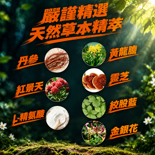 荷蘭🇳🇱 男威丸 一粒續航 緩釋草本膠囊 1盒5粒
